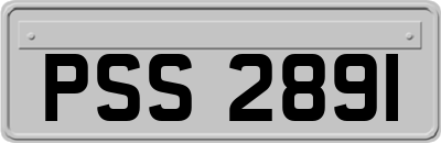 PSS2891