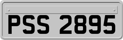 PSS2895