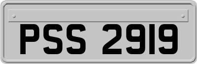 PSS2919