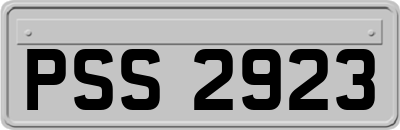 PSS2923