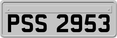 PSS2953