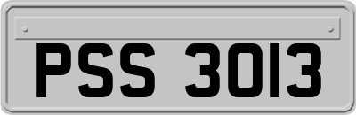 PSS3013