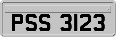 PSS3123