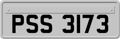 PSS3173