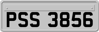 PSS3856