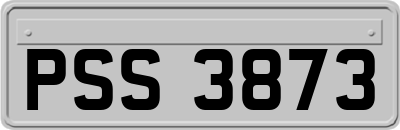 PSS3873
