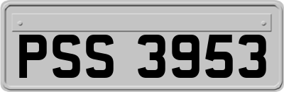 PSS3953