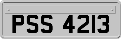 PSS4213