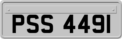 PSS4491