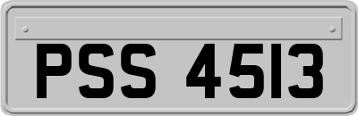 PSS4513