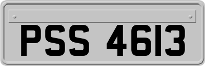 PSS4613