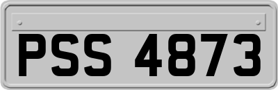 PSS4873
