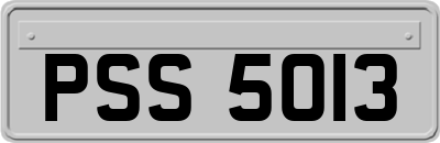 PSS5013