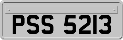 PSS5213