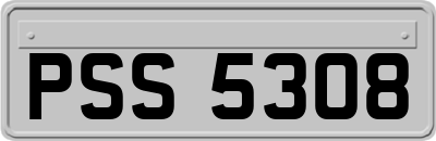 PSS5308