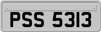 PSS5313