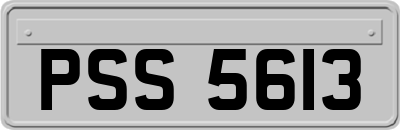 PSS5613