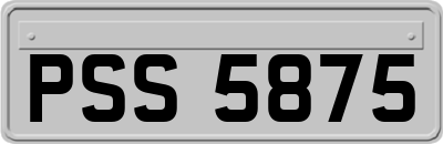 PSS5875