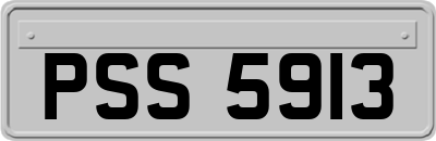 PSS5913
