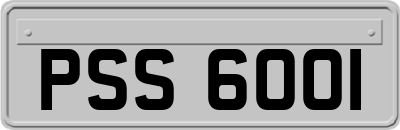 PSS6001