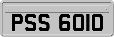 PSS6010