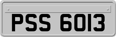 PSS6013
