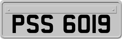 PSS6019