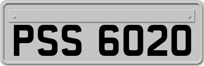 PSS6020