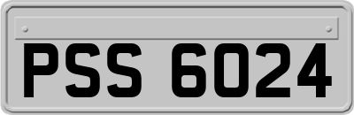 PSS6024