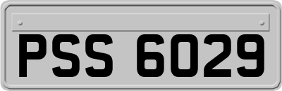 PSS6029