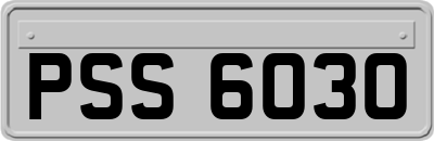 PSS6030