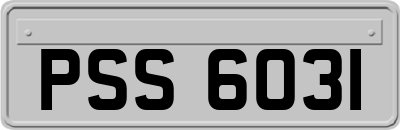 PSS6031
