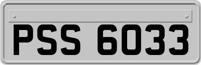 PSS6033