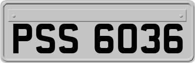 PSS6036