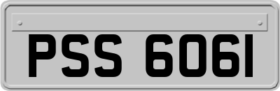 PSS6061