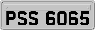 PSS6065