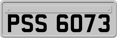 PSS6073