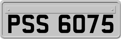 PSS6075