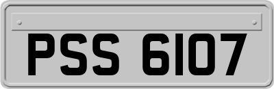 PSS6107