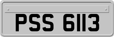 PSS6113