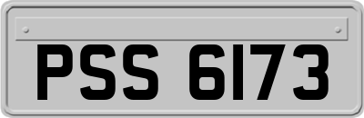 PSS6173