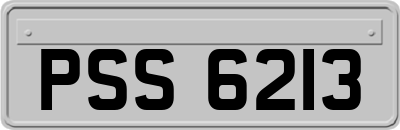 PSS6213