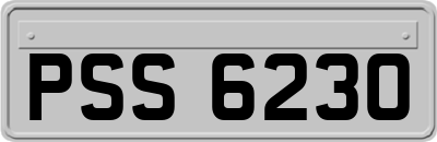 PSS6230