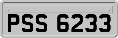 PSS6233