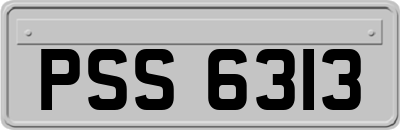 PSS6313