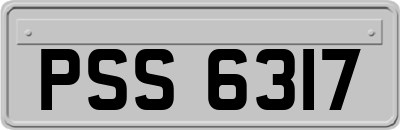 PSS6317