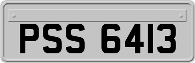 PSS6413
