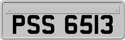 PSS6513