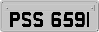 PSS6591