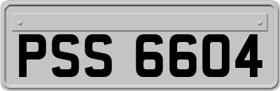 PSS6604